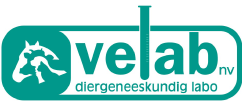 Velab Logo